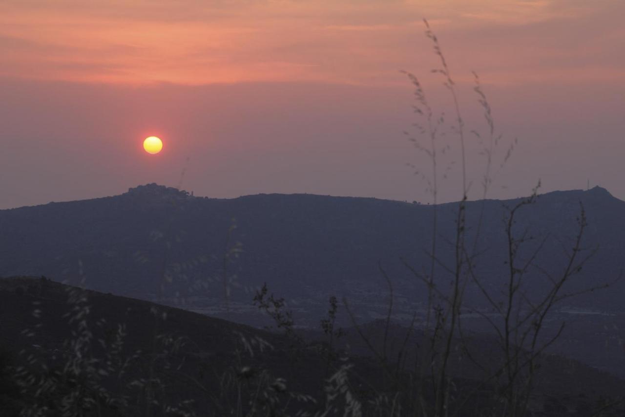 Vacancorse Maison U Canale Speloncato  エクステリア 写真